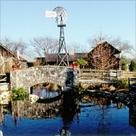 Fredericksburg Mill